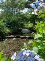 鏡ヶ池公園の写真・動画_image_622154