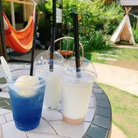 チーズケーキ工房・カフェ 風花の写真・動画_image_622158