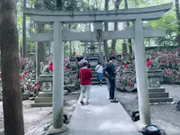 豊川稲荷の写真・動画_image_622443