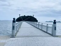 竹島の写真・動画_image_622447