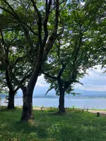 カフェ、ラ・ボエームmimiの写真・動画_image_622504