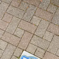 函館市旧イギリス領事館の写真・動画_image_622514