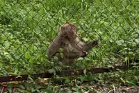 奥多摩湖ダムサイトパーキングの写真・動画_image_622970