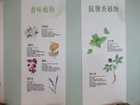 Healtdeva 赫蒂法荘園の写真・動画_image_623515