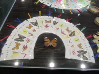 綺麗胡蝶芸術館の写真・動画_image_623630