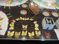 綺麗胡蝶芸術館の写真・動画_image_623632
