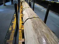 綺麗珊瑚博物館の写真・動画_image_623634