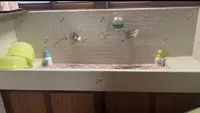 天野屋旅館の写真・動画_image_625218