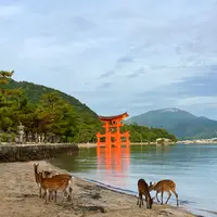 御笠浜の写真・動画_image_626033
