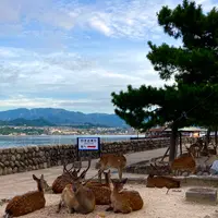 ホテルみや離宮の写真・動画_image_626069