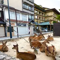 ホテルみや離宮の写真・動画_image_626070