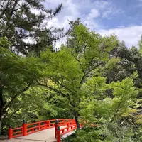 紅葉谷駅の写真・動画_image_626077