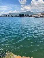 アレイからすこじま公園の写真・動画_image_626171