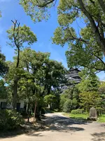 広島城の写真・動画_image_626180
