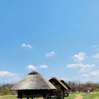 三内丸山遺跡の写真・動画_image_627212