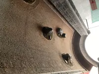 奈義町現代美術館の写真・動画_image_627487