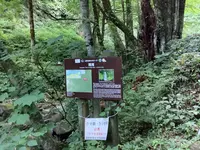 雨滝の写真・動画_image_627743