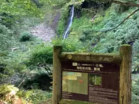 雨滝の写真・動画_image_627744