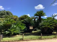 岡山後楽園の写真・動画_image_628898