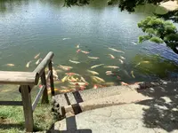 岡山後楽園の写真・動画_image_628903