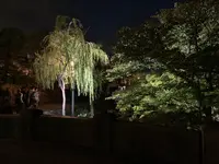 倉敷美観地区の写真・動画_image_628942