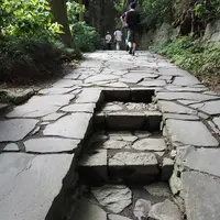 瑞鳳殿（仙台藩租伊達政宗公御廟）の写真・動画_image_629117