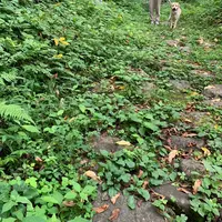 小谷村 県宝 牛方宿 (塩の道祭り)の写真・動画_image_629319