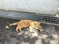 地中美術館の写真・動画_image_630008