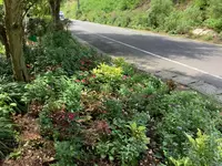 地中美術館の写真・動画_image_630011
