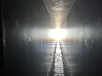 家プロジェクト「護王神社」の写真・動画_image_630116