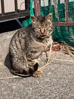 グラバー園の写真・動画_image_630658