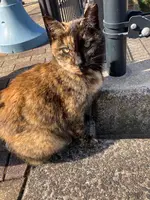 グラバー園の写真・動画_image_630662