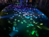 すみだ水族館の写真・動画_image_630823