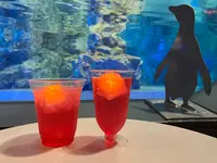 すみだ水族館の写真・動画_image_630833