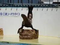 伊豆・三津シーパラダイスの写真・動画_image_630957