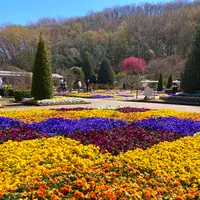 あしかがフラワーパークの写真・動画_image_631103