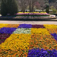 あしかがフラワーパークの写真・動画_image_631104