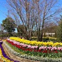あしかがフラワーパークの写真・動画_image_631105
