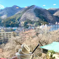 大江戸温泉物語 鬼怒川温泉 ホテル鬼怒川御苑の写真・動画_image_631112