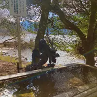 九頭龍神社（本宮）の写真・動画_image_631674