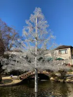 箱根ガラスの森美術館の写真・動画_image_631705