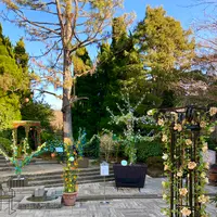 箱根ガラスの森美術館の写真・動画_image_631707