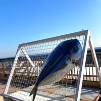 漁港の駅 TOTOCO小田原の写真・動画_image_631719