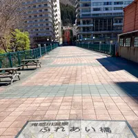 鬼怒川温泉ふれあい橋の写真・動画_image_631849