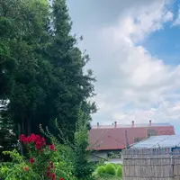 常堅寺の写真・動画_image_631944