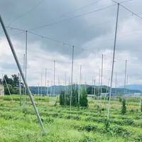 常堅寺の写真・動画_image_631945