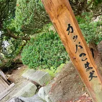 常堅寺の写真・動画_image_631946