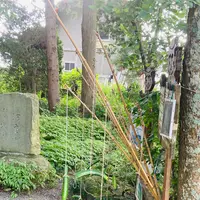 河童淵（姥子淵）の写真・動画_image_631951