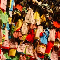 伝承園の写真・動画_image_631952