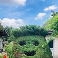 伝承園の写真・動画_image_631956